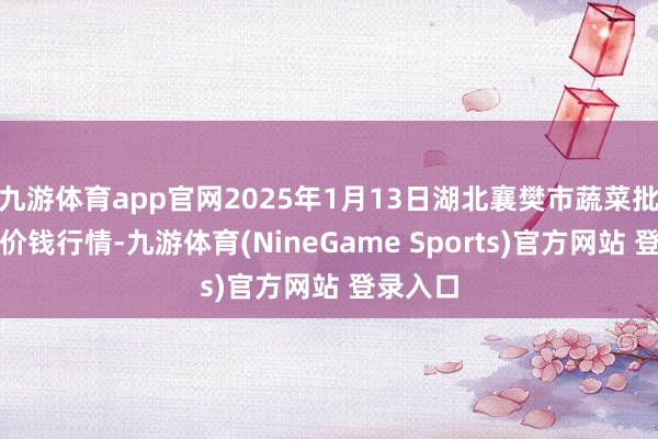 九游体育app官网2025年1月13日湖北襄樊市蔬菜批发阛阓价钱行情-九游体育(NineGame Sports)官方网站 登录入口