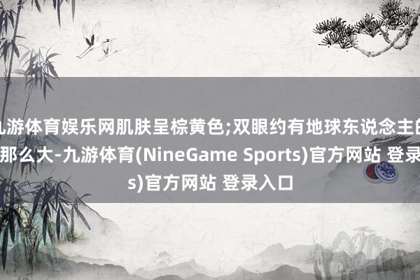 九游体育娱乐网肌肤呈棕黄色;双眼约有地球东说念主的两倍那么大-九游体育(NineGame Sports)官方网站 登录入口