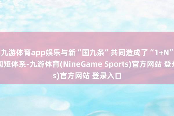 九游体育app娱乐与新“国九条”共同造成了“1+N”战略规矩体系-九游体育(NineGame Sports)官方网站 登录入口