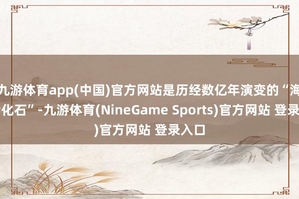 九游体育app(中国)官方网站是历经数亿年演变的“海洋活化石”-九游体育(NineGame Sports)官方网站 登录入口